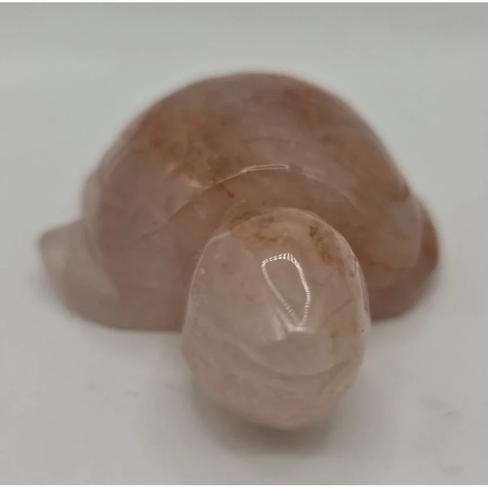 Natural Red Fire Quartz Hematoid Carved Turtle 4